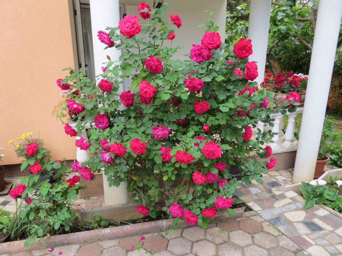 Apartments In Premantura/Istrien 34773 Экстерьер фото